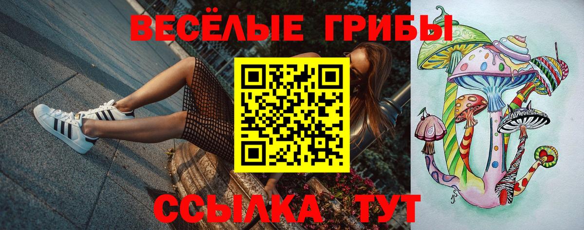Галлюциногенные грибы Psilocybine cubensis Улан-Удэ