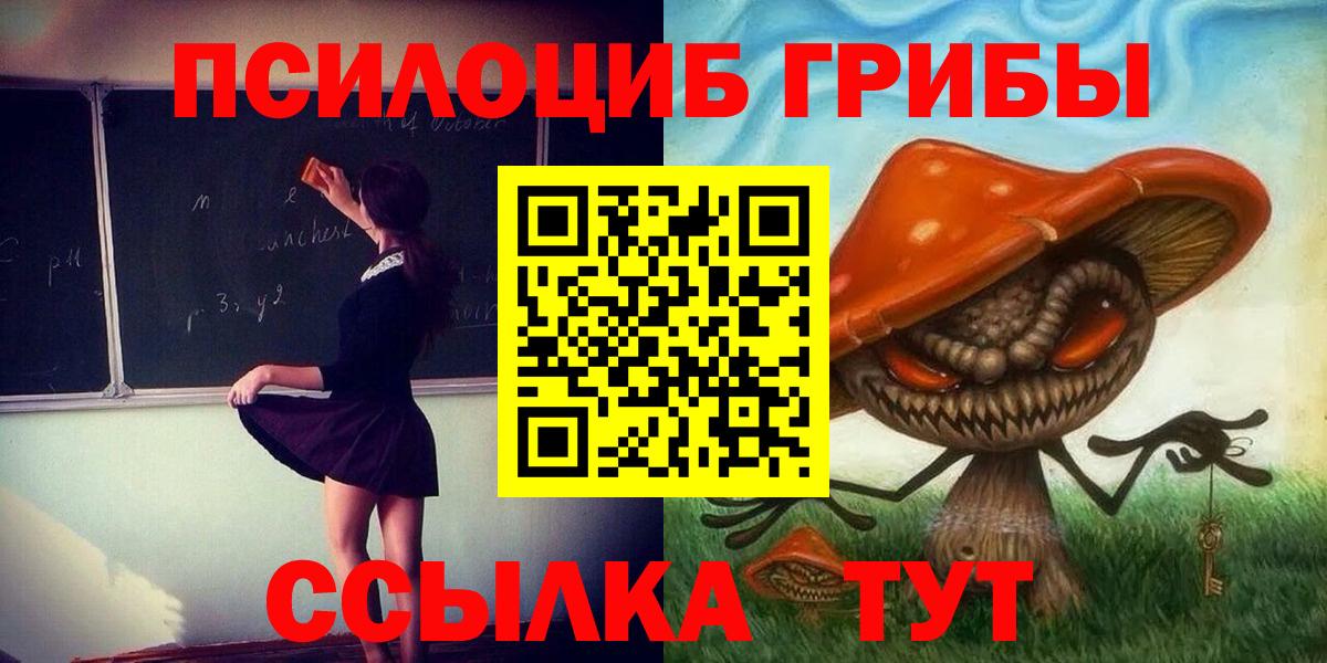 Улан-Удэ  где купить   Вход с VPN  Галлюциногенные грибы Cubensis 